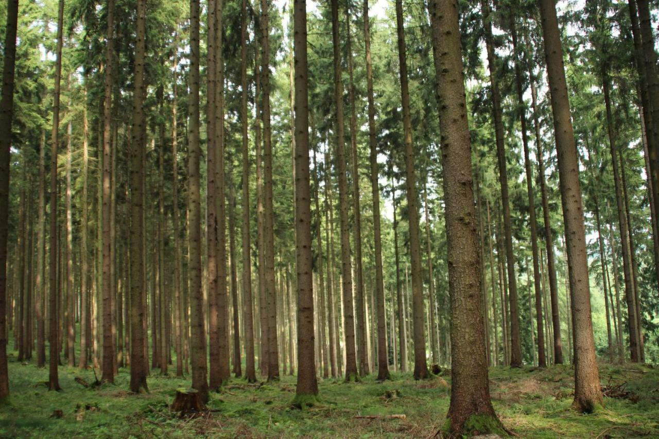 Ferienhaus "Gestiefelter Kater" Am See Im Bergland เคียร์ชไฮม์ ภายนอก รูปภาพ